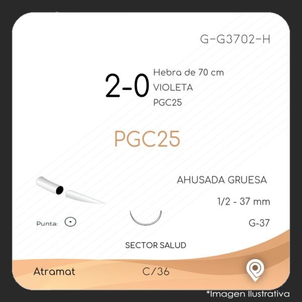 G-G3702-H-2