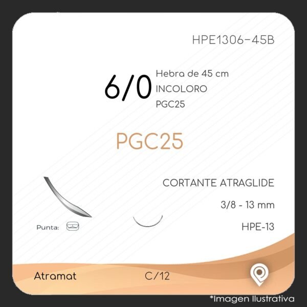 HPE1306-45B-2