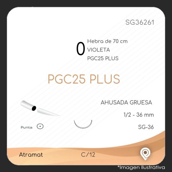 SG36261-2